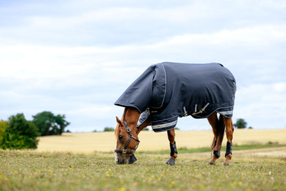 LeMieux Arika Storm-Tek Rug 350g
