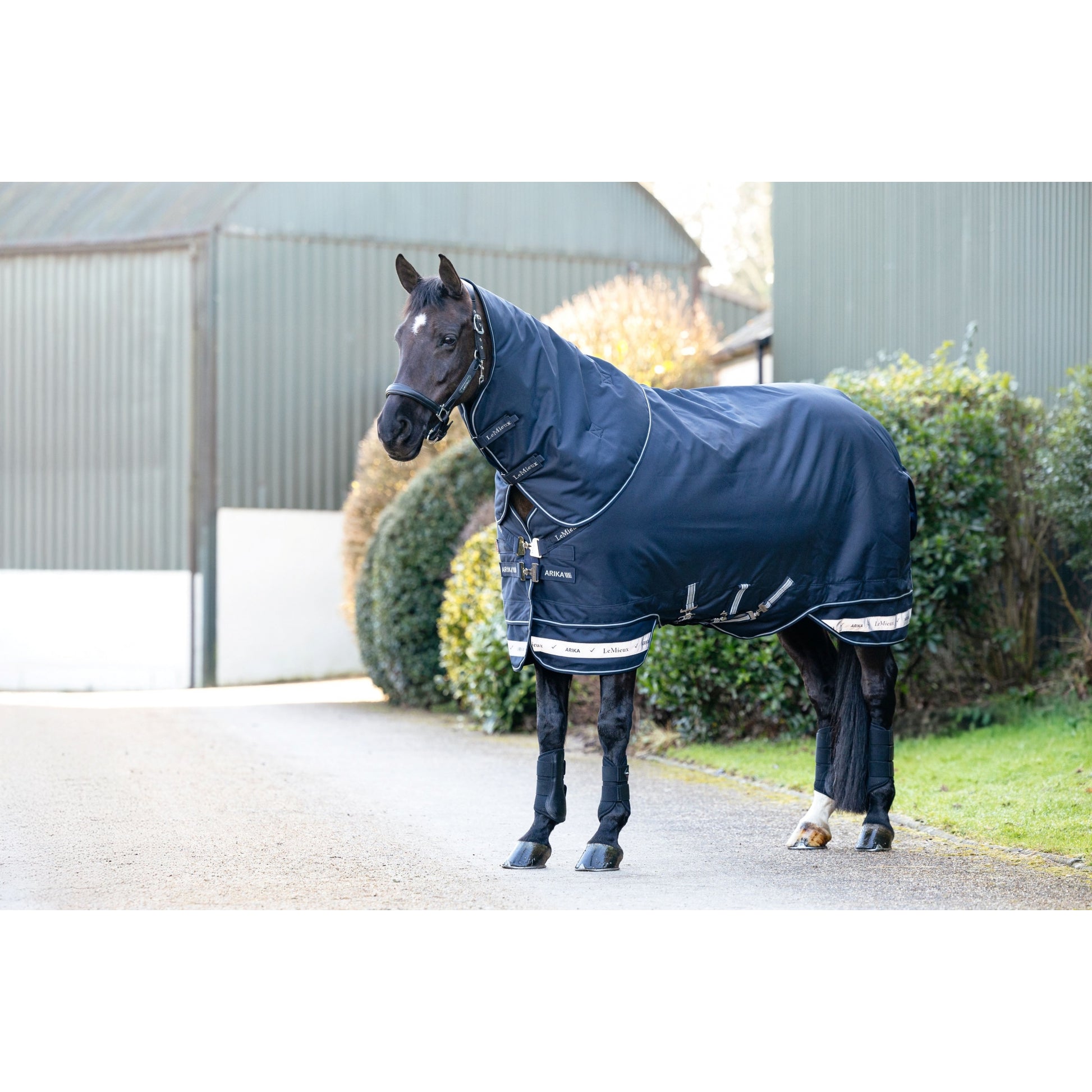 LeMieux Arika Storm-Tek Rug 350g