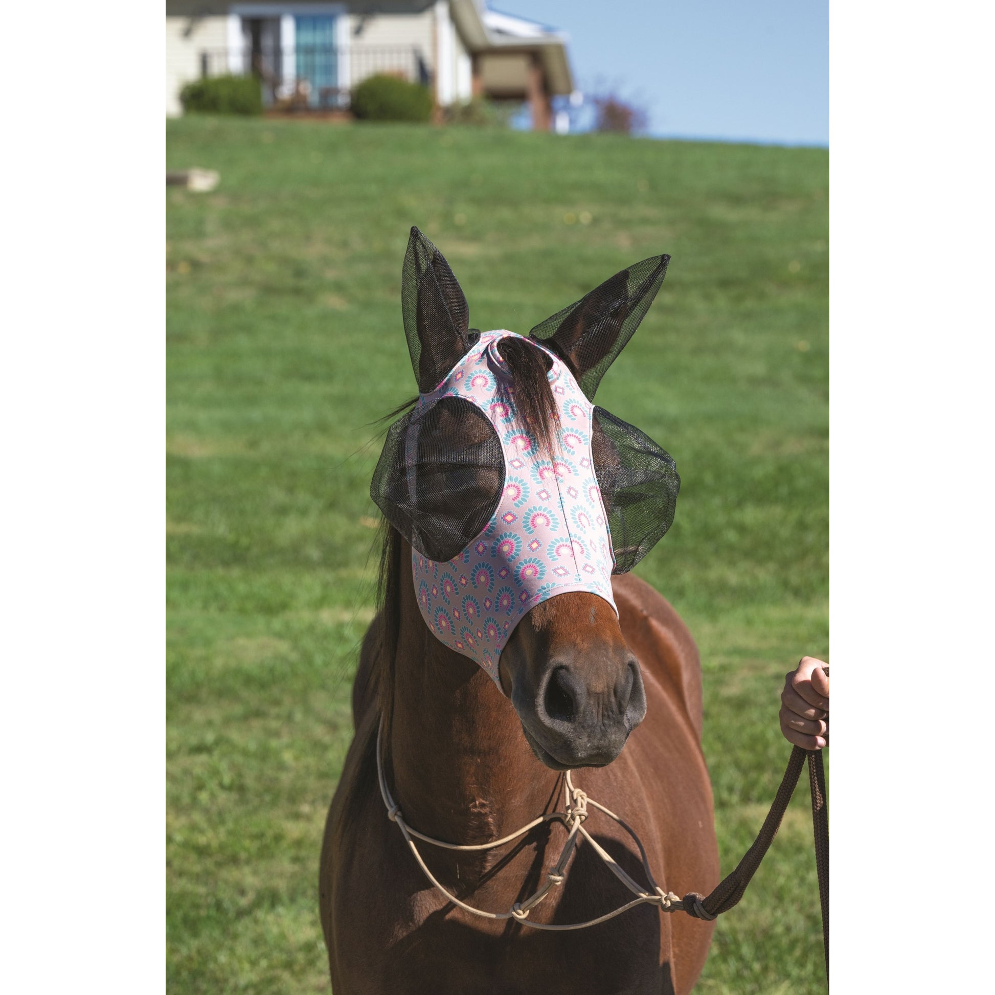 Weaver CoolAid Equine Lycra Fly Mask