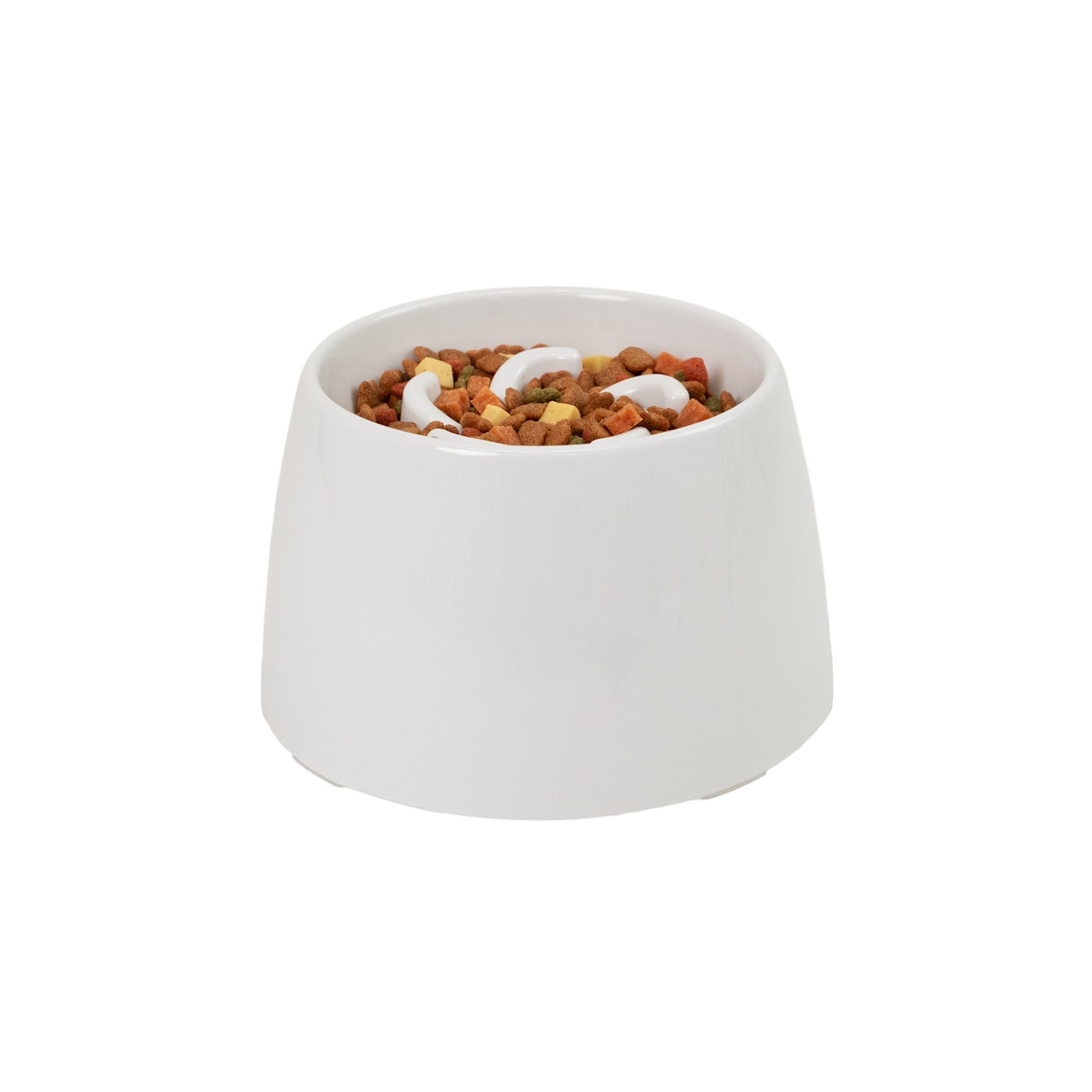 Richell Raised Slow Feeder Bowl