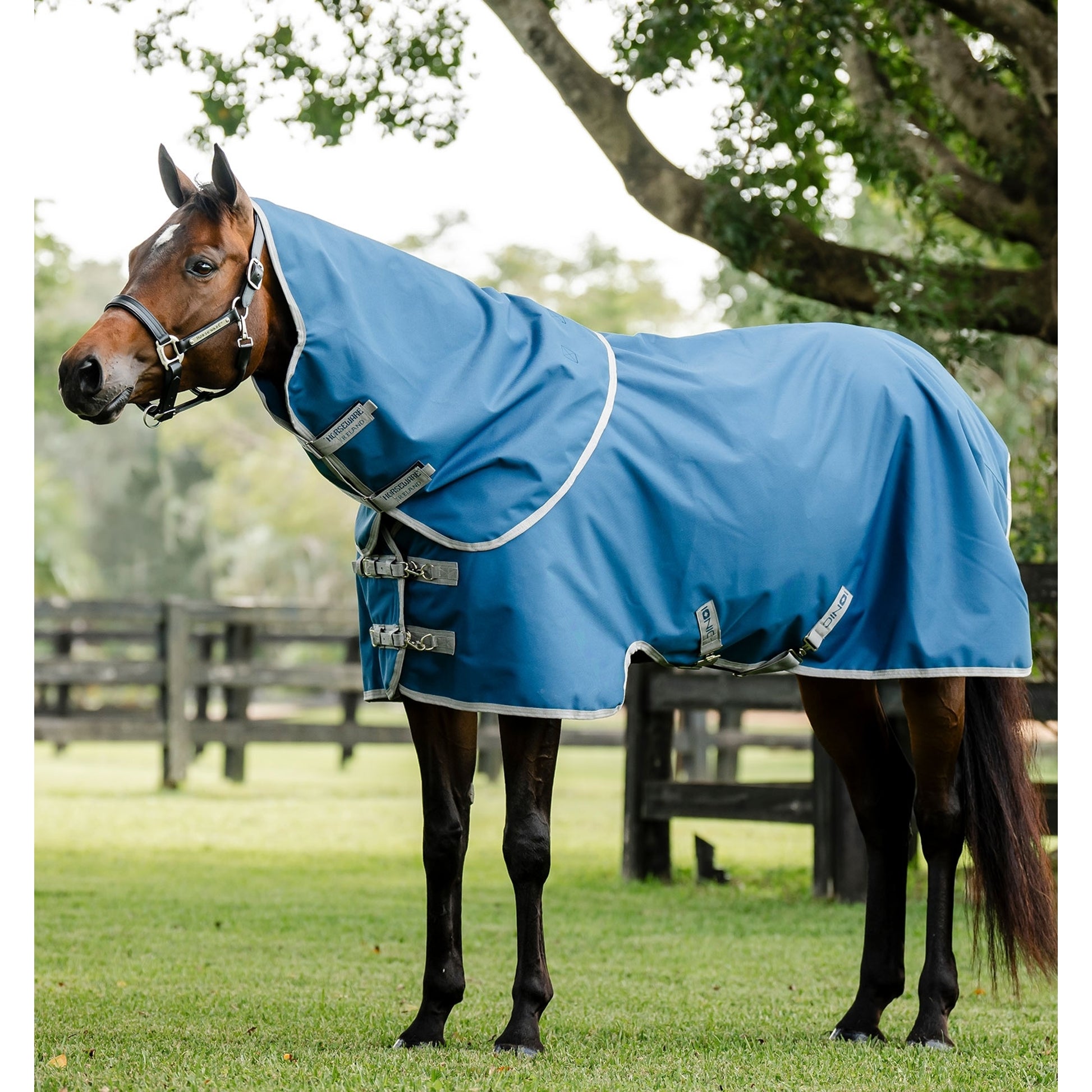 Horseware Ionic Therapy Quarter Horse Turnout 100g