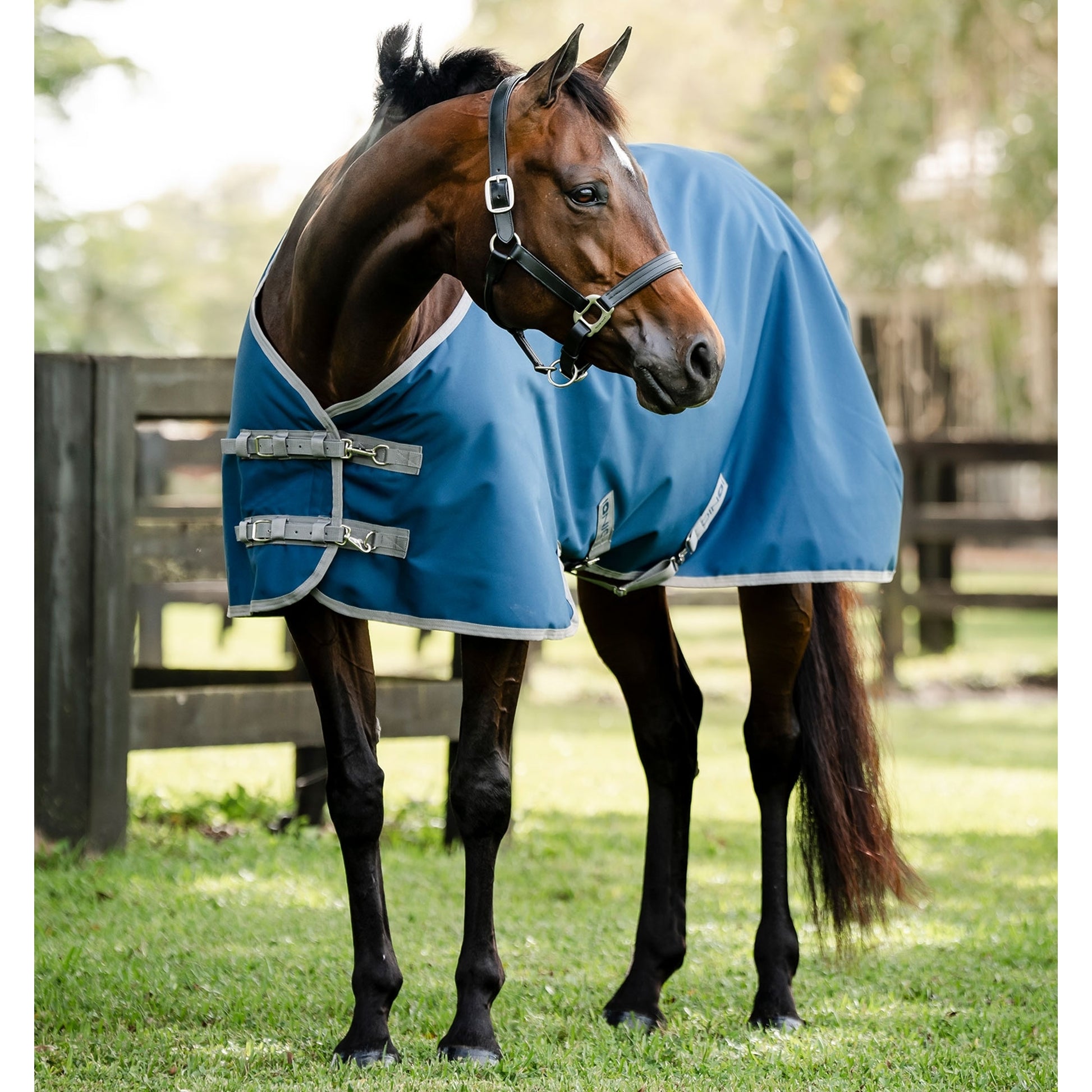 Horseware Ionic Therapy Quarter Horse Turnout 100g