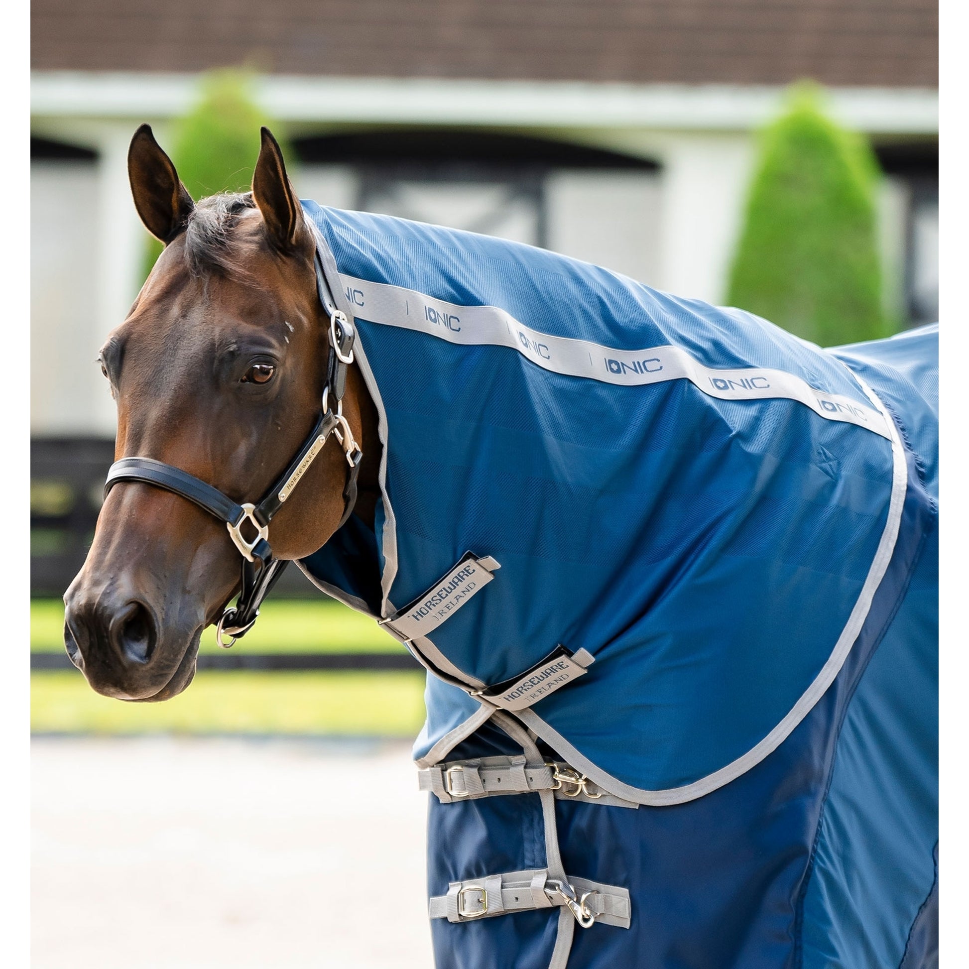 Horseware Ionic Therapy Quarter Horse Mesh Cooler Hood