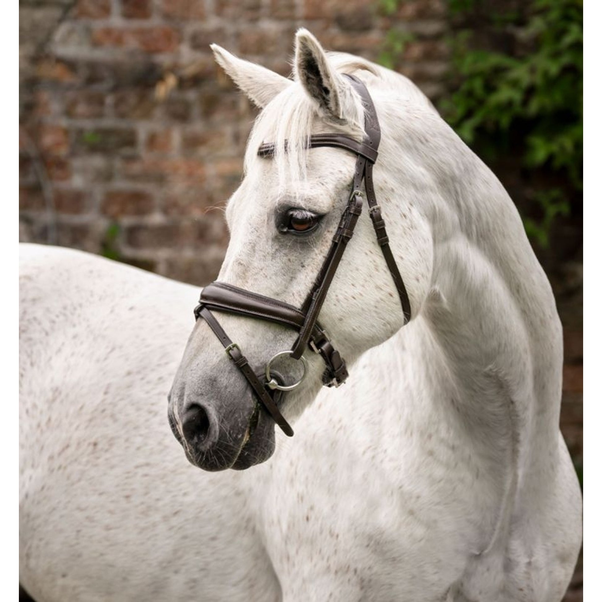 Horseware Pony Flash Bridle