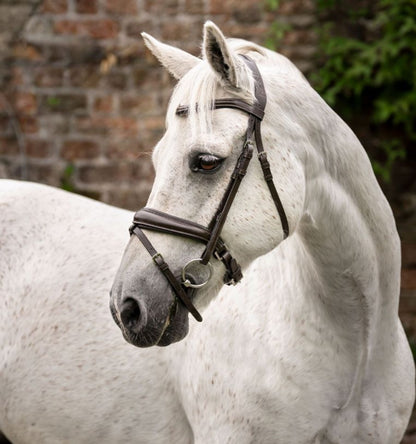Horseware Pony Flash Bridle