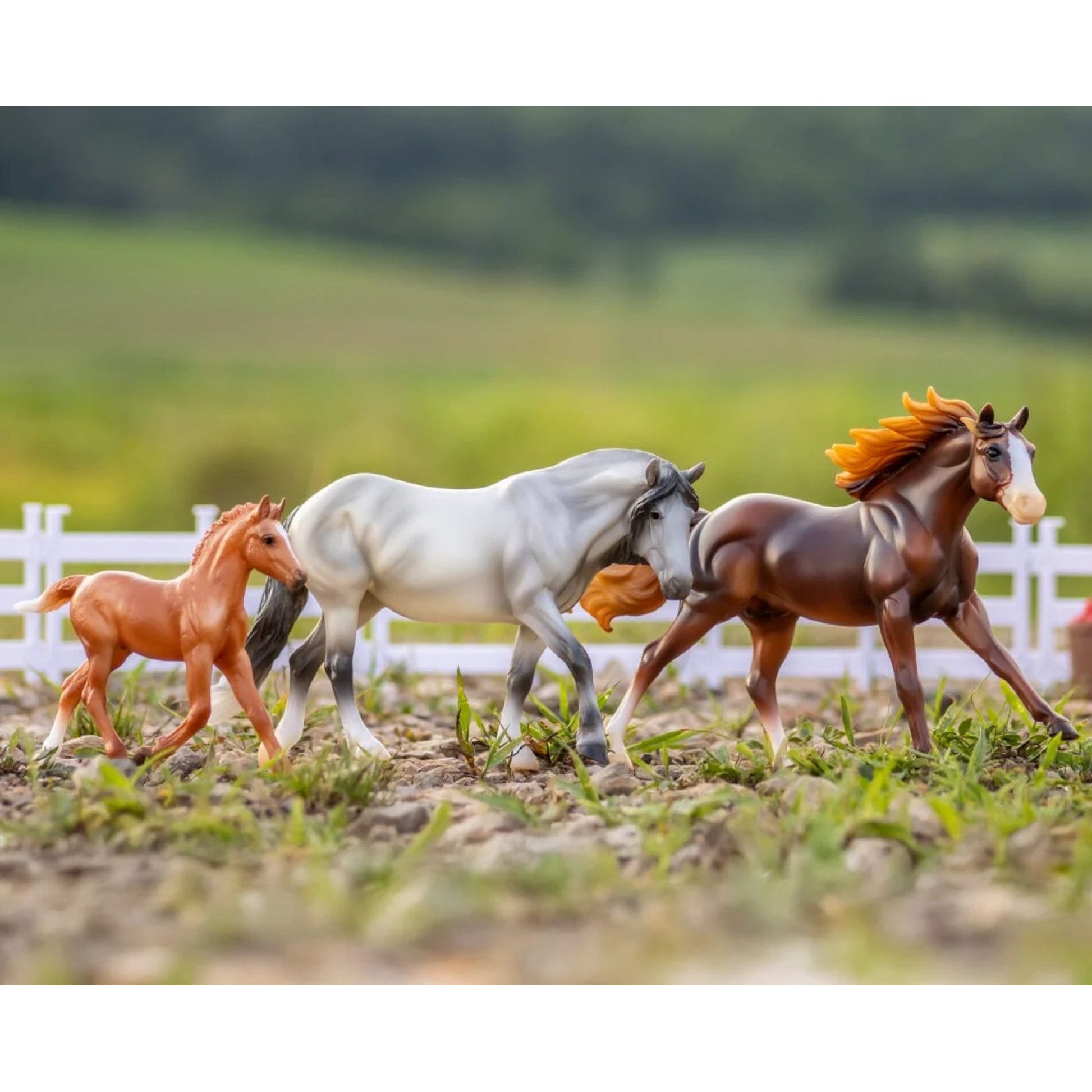 Breyer Playful Pony Horse Family