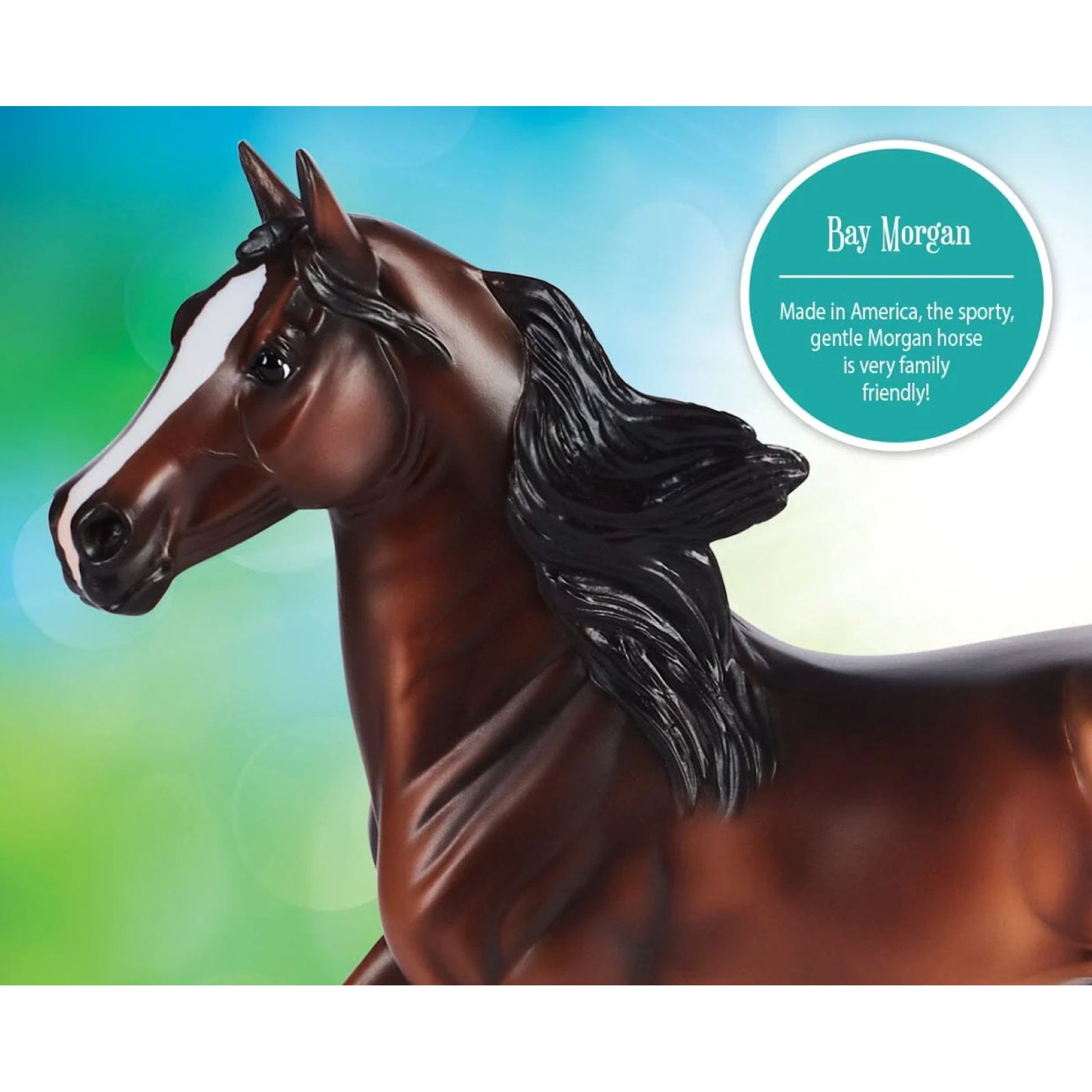 Breyer Bay Morgan