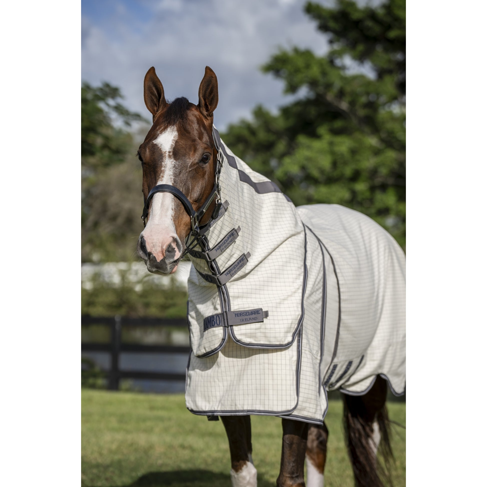 Rambo Optimo Supreme Summer Sheet Plus