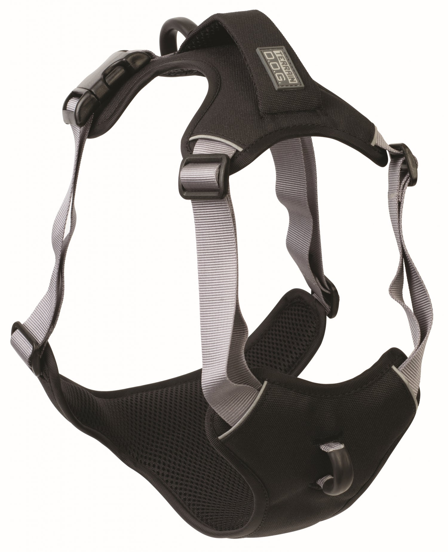 Halters and Harnesses