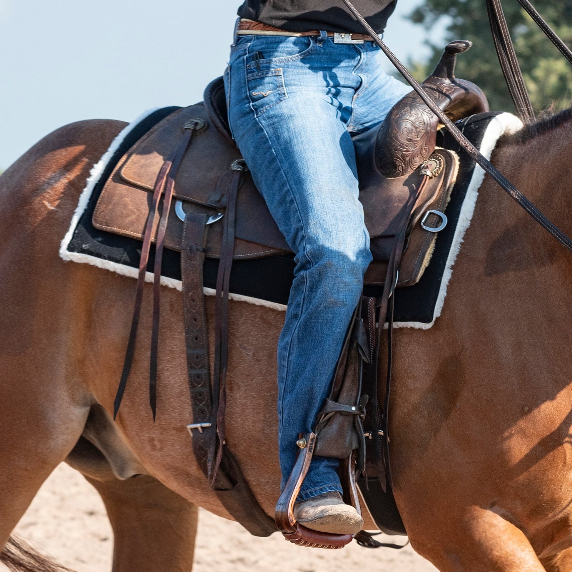 Classic Equine Performance Trainer Felt Pad Top