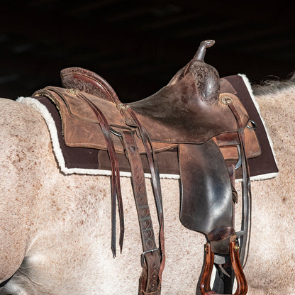 Classic Equine Performance Trainer Felt Pad Top