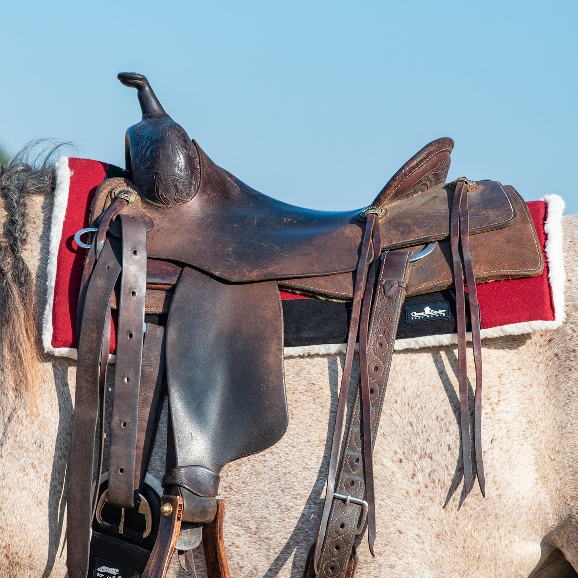 Classic Equine Performance Trainer Felt Pad Top