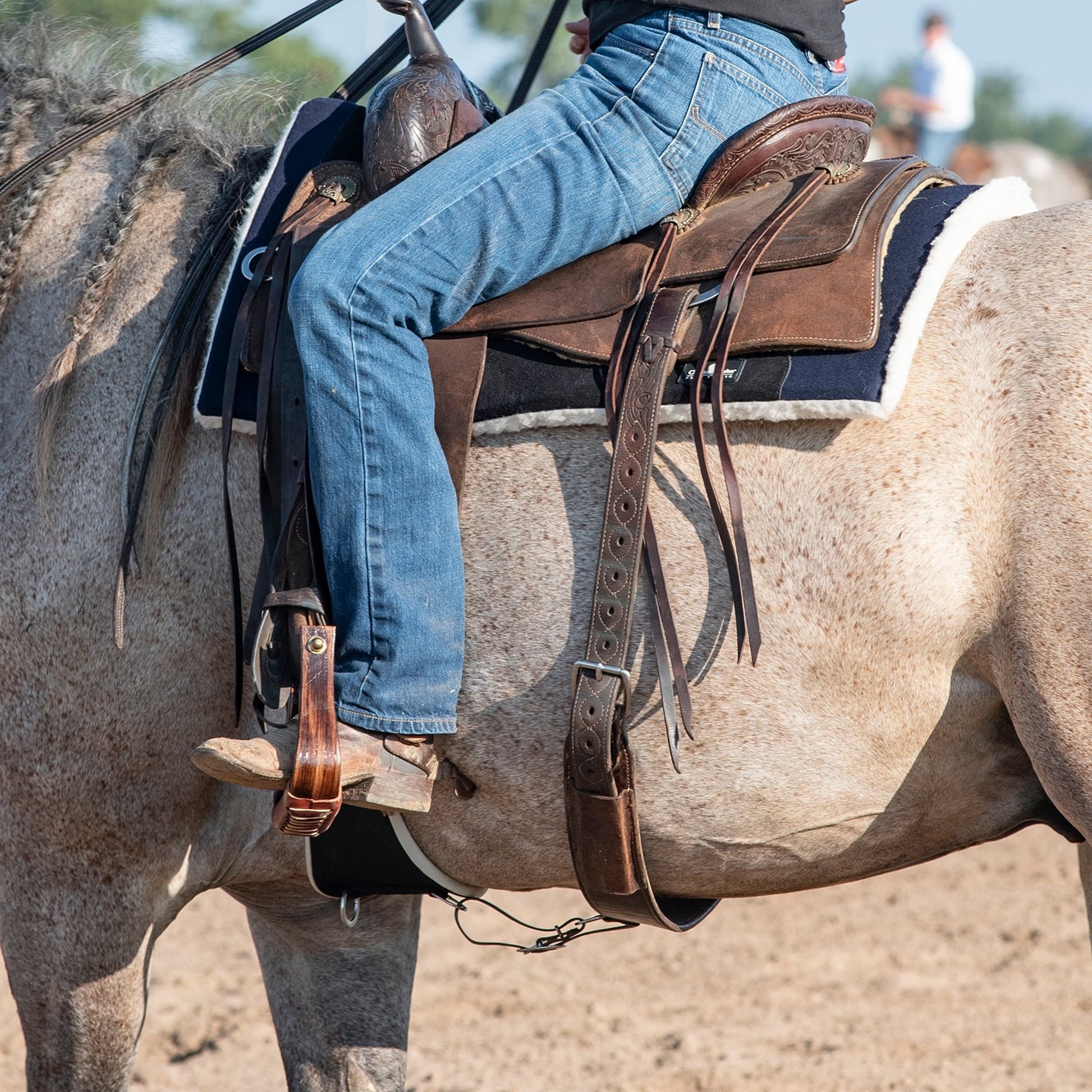 Classic Equine Performance Trainer Felt Pad Top