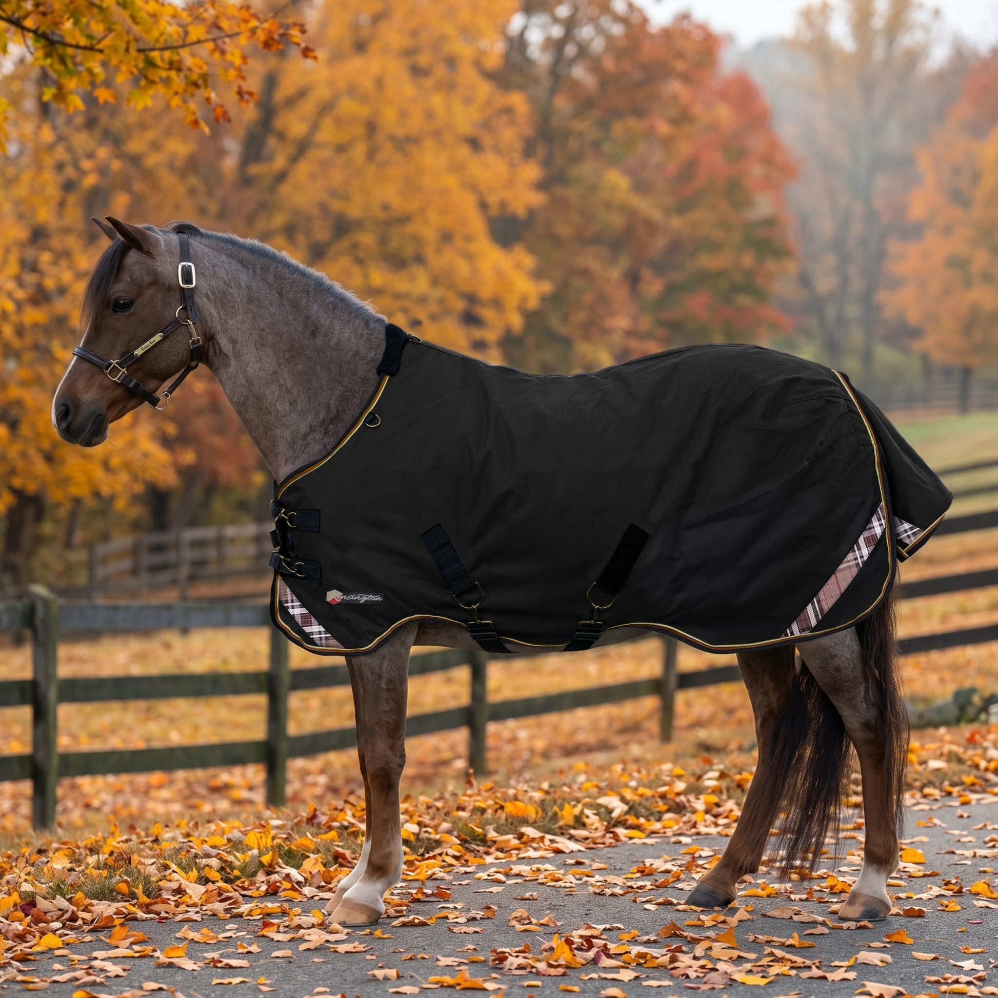 Kensington Pony 1200D SureFit Turnout 80g