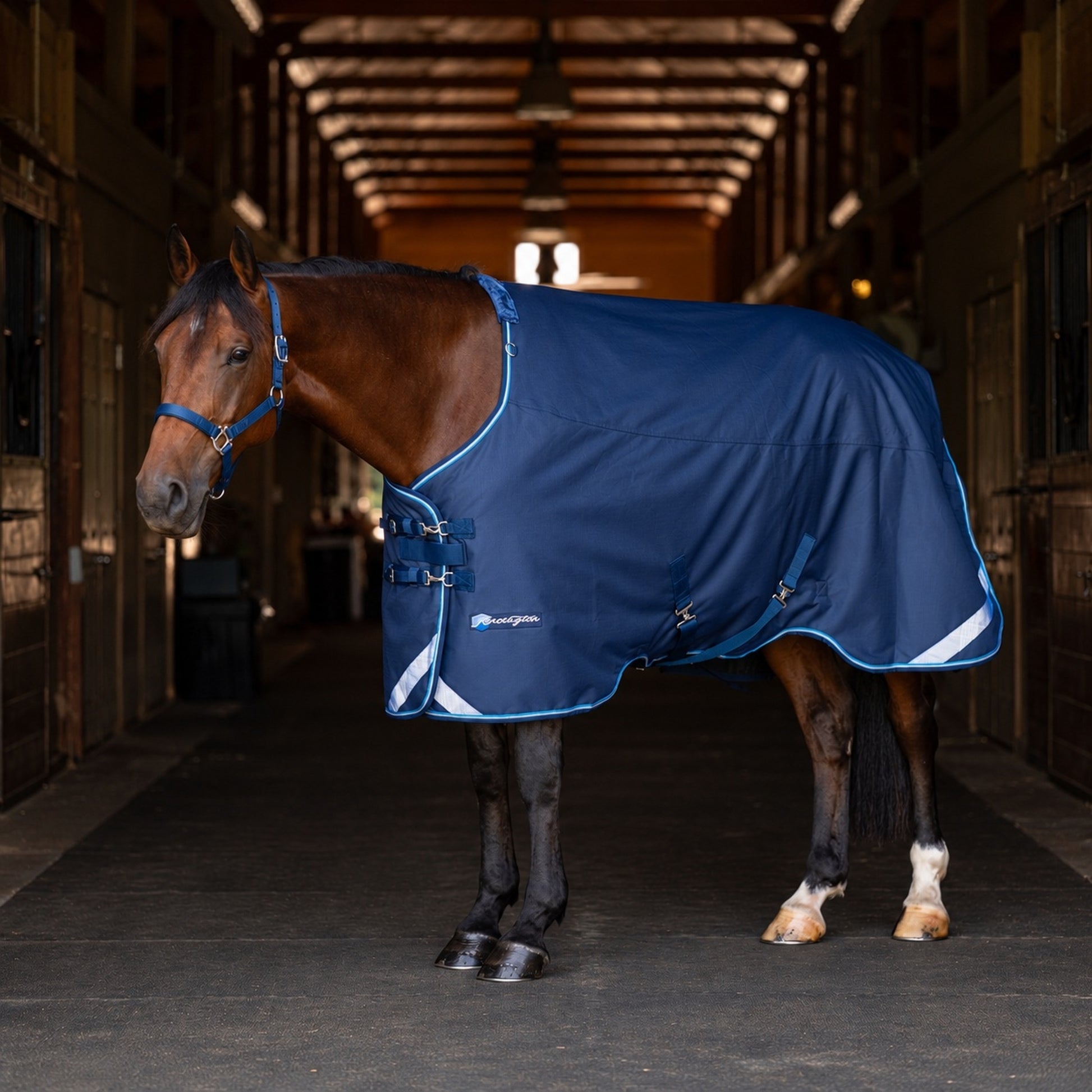 Kensington Horse 1200D EuroCut Turnout 180g