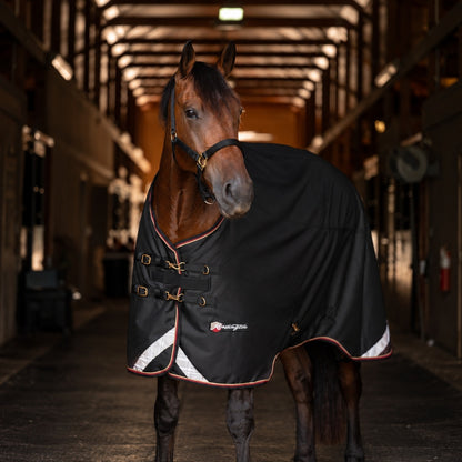 Kensington Horse 1200D EuroCut Turnout 180g