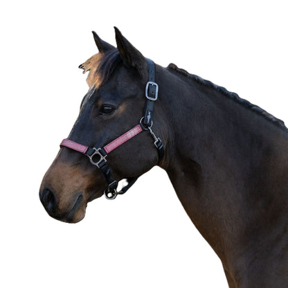 Kensington Halter NB