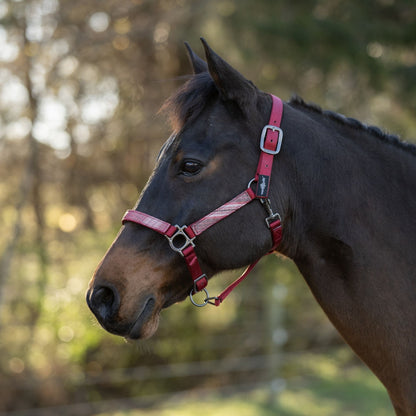 Kensington Reflective Nylon Halter