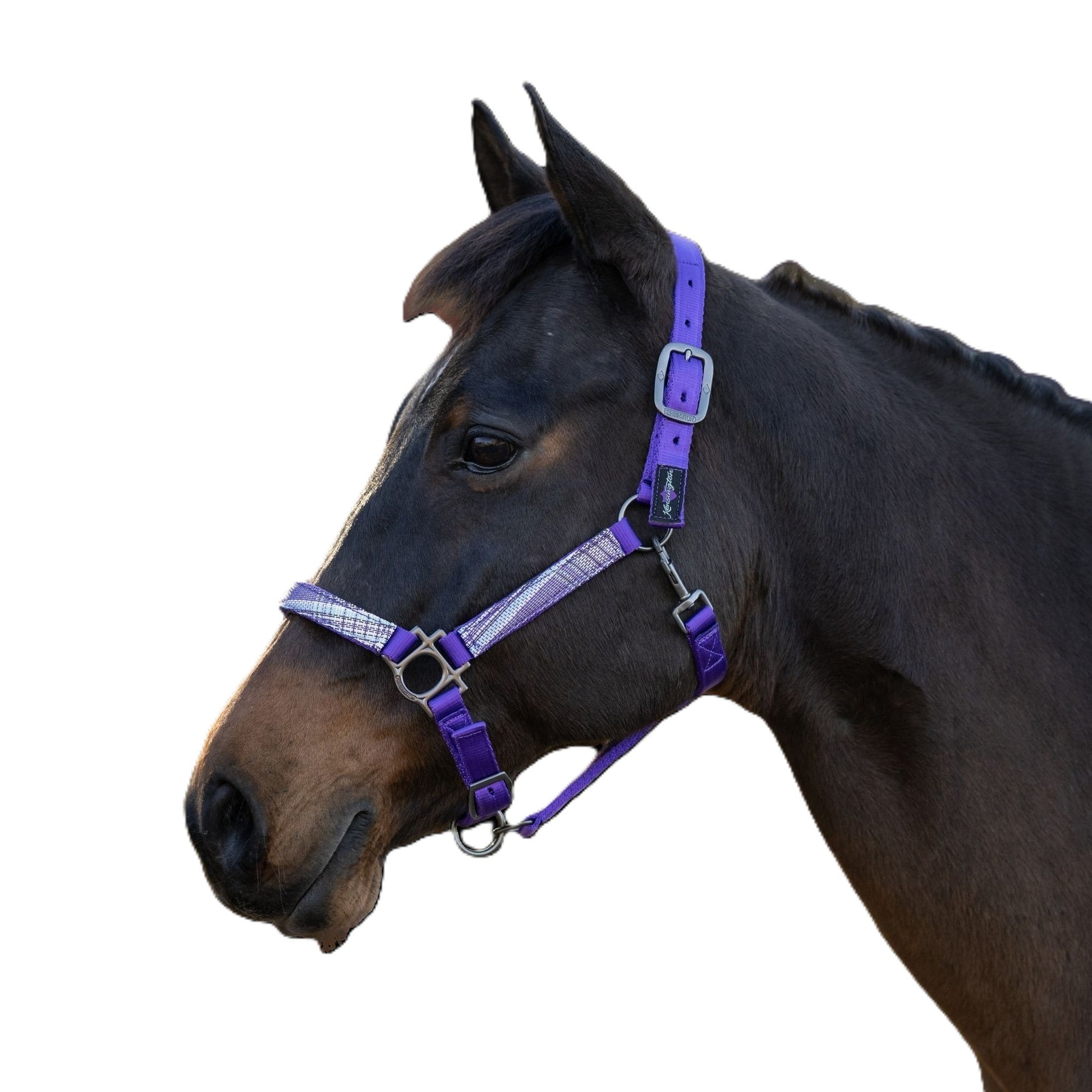 Kensington Reflective Nylon Halter