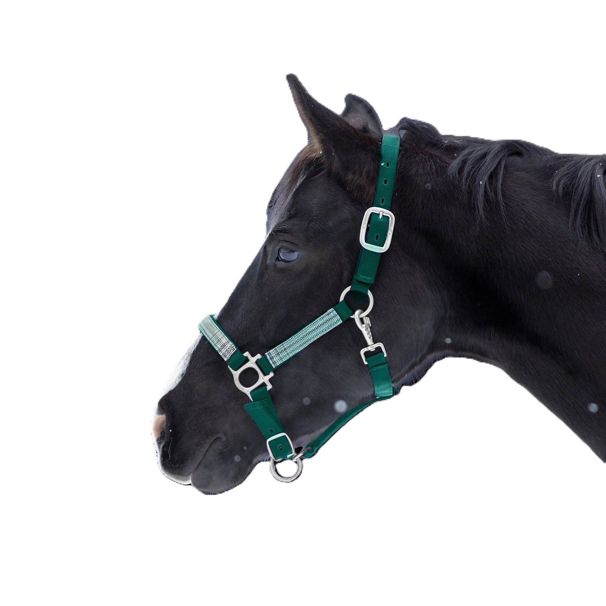 Kensington Reflective Nylon Halter