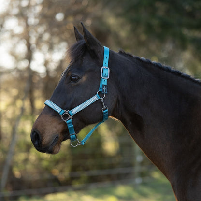 Kensington Reflective Nylon Halter