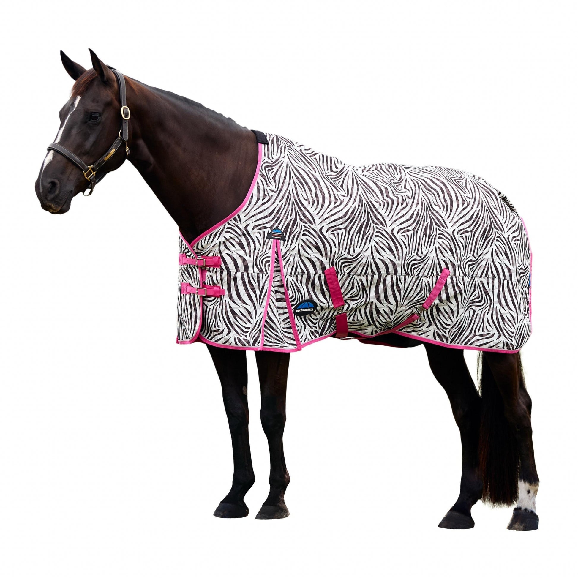 Weatherbeeta Comfitec Frontier Turnout 220g