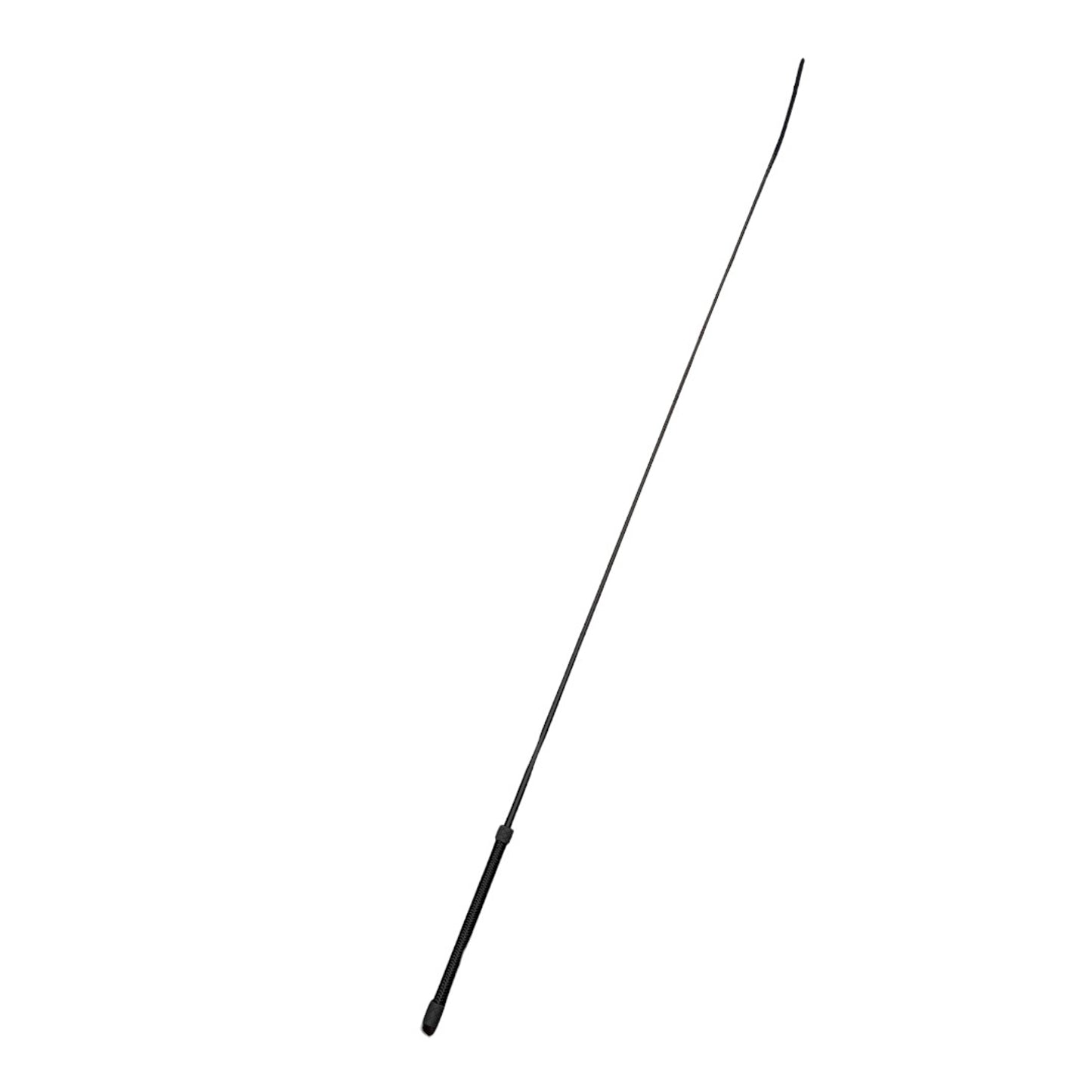 4-543007.jpg