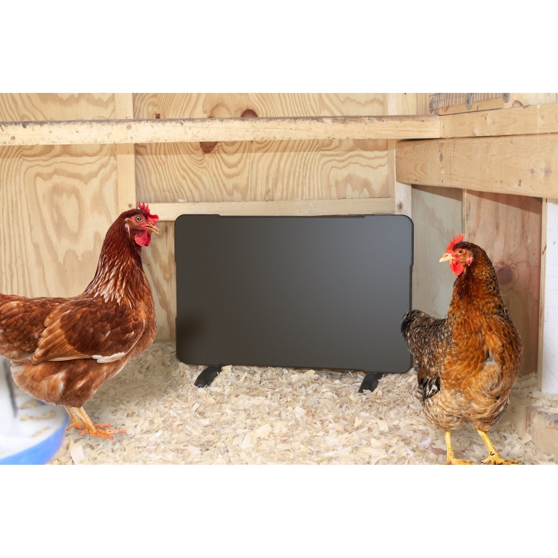 Farm Innovators 2-in-1 Chicken Coop Heater and Brooder