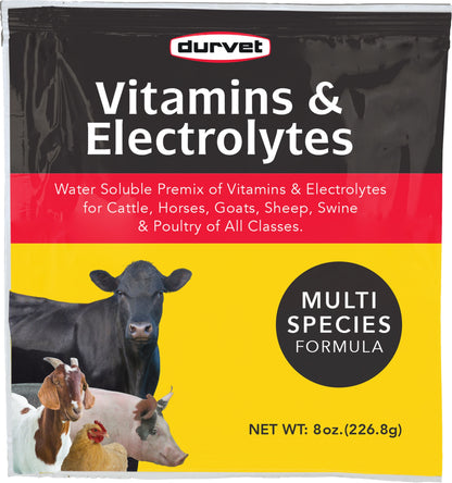 Vitamins And Electrolytes Concentrate 4oz