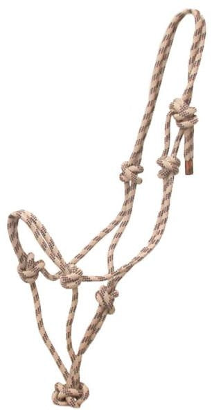 5-111105.jpg