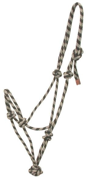 5-111106.jpg
