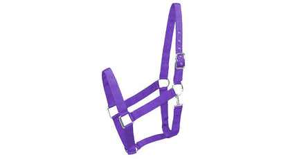 5-111575_purple.jpg