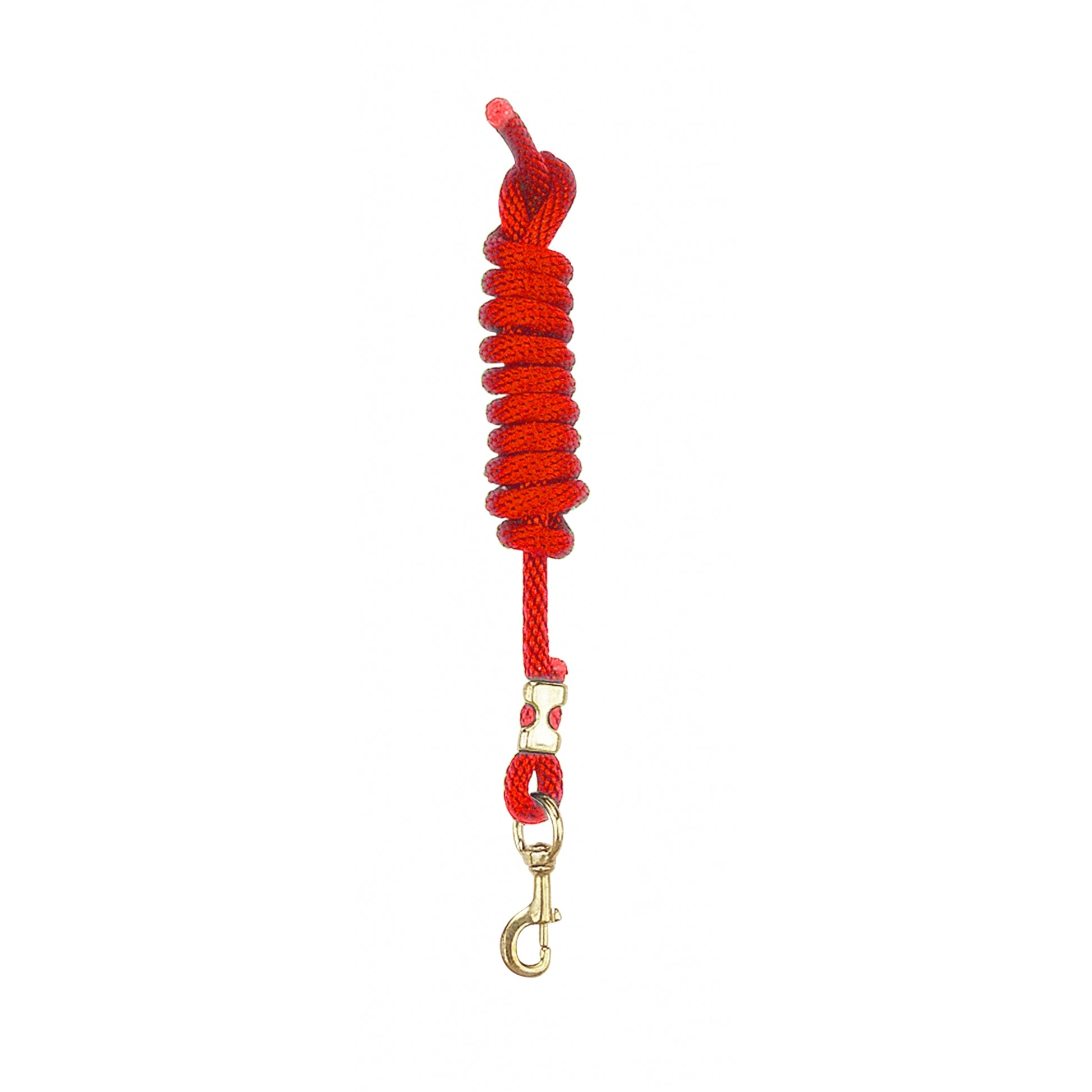 Perris Poly Nylon Lead With Brass Snap 8ft Brn