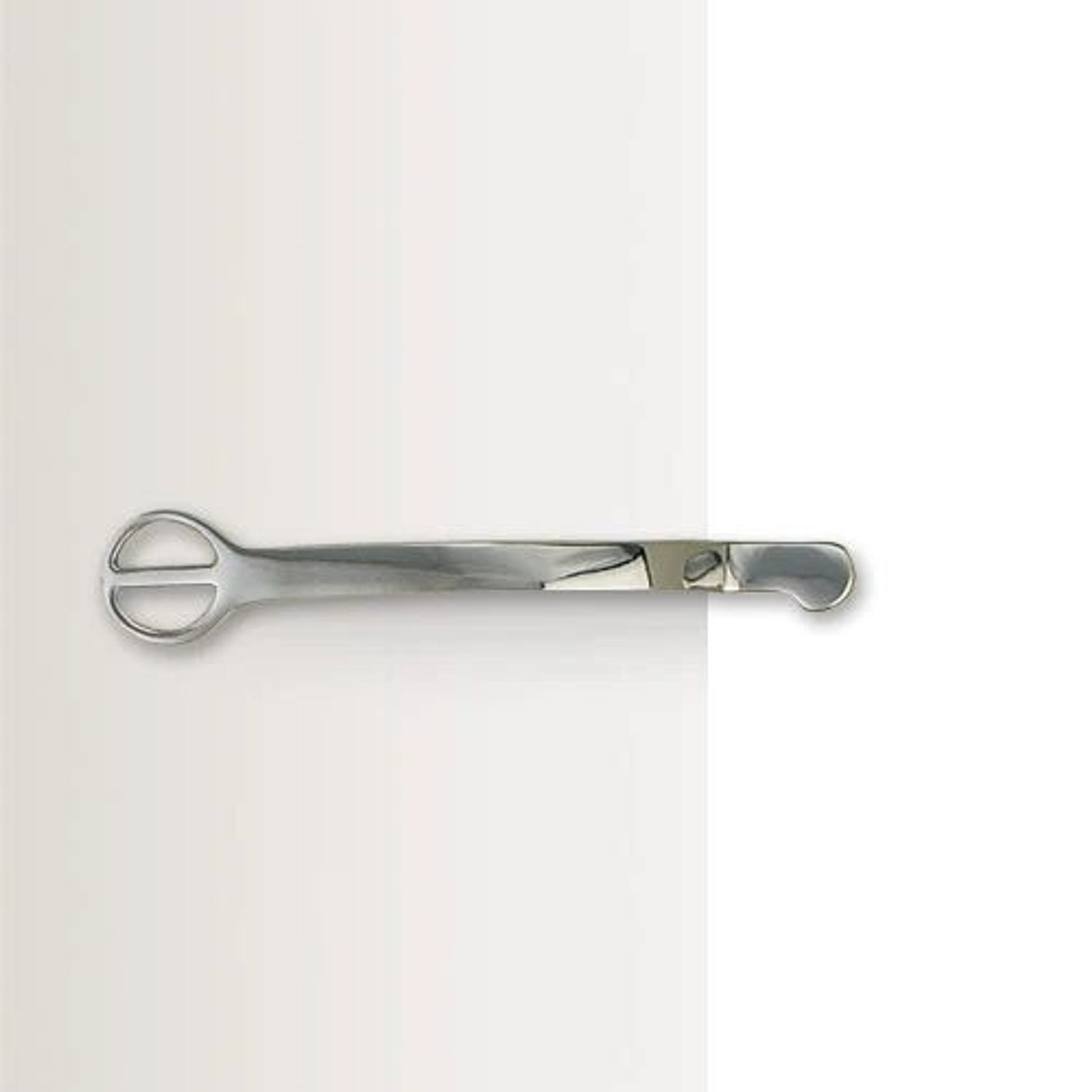 Centaur Stainless Steel Dummy Spurs LadiesBk/Wh