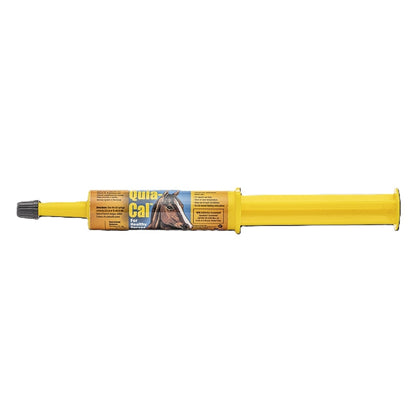 Finish Line Quia-Cal Paste Syringe