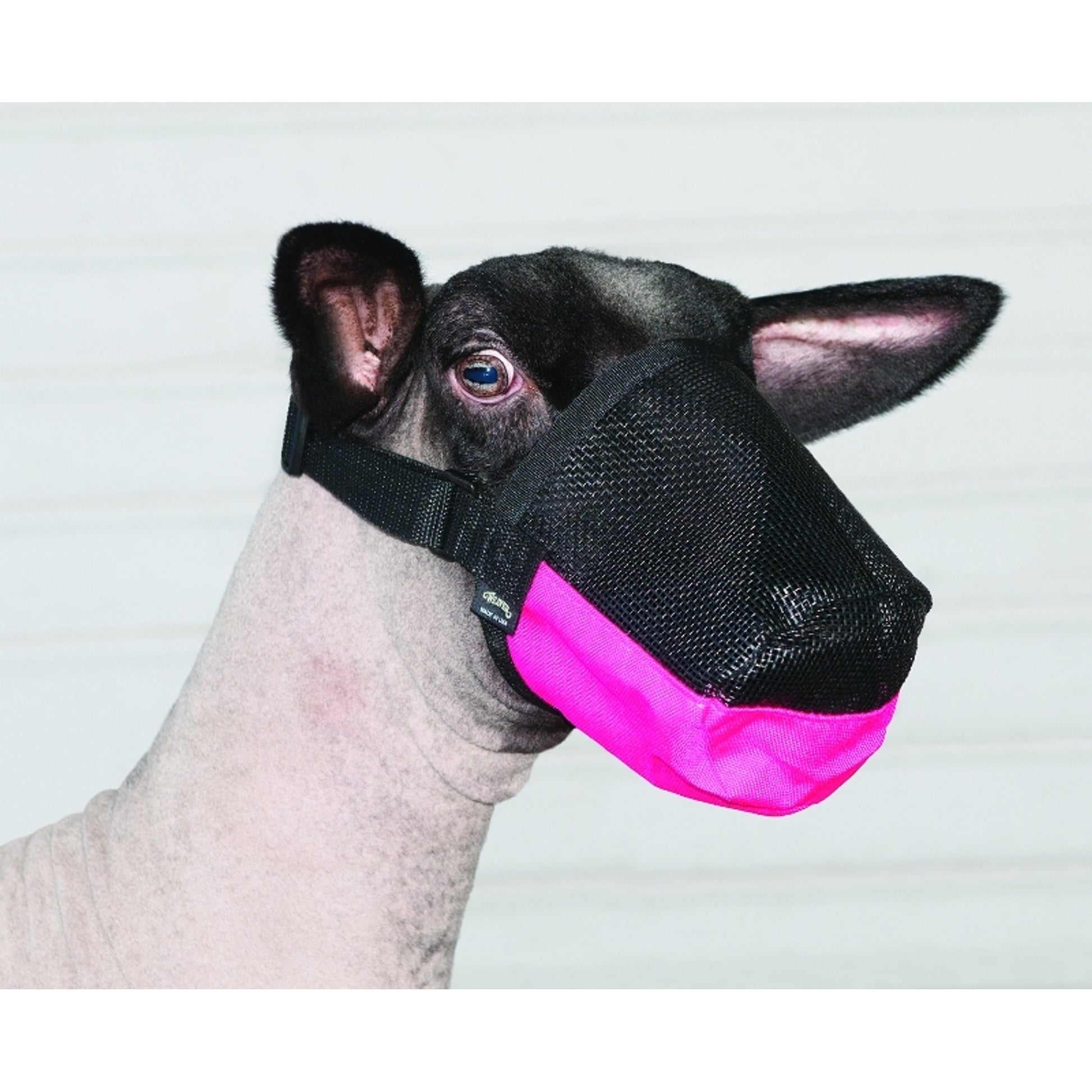 Weaver Leather Deluxe Adjustable Goat/Sheep Muzzle