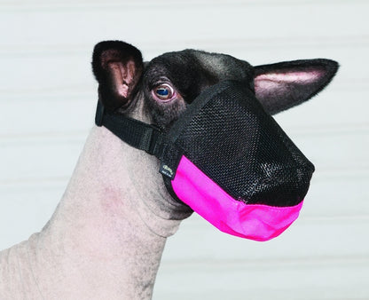 Weaver Leather Deluxe Adjustable Goat/Sheep Muzzle