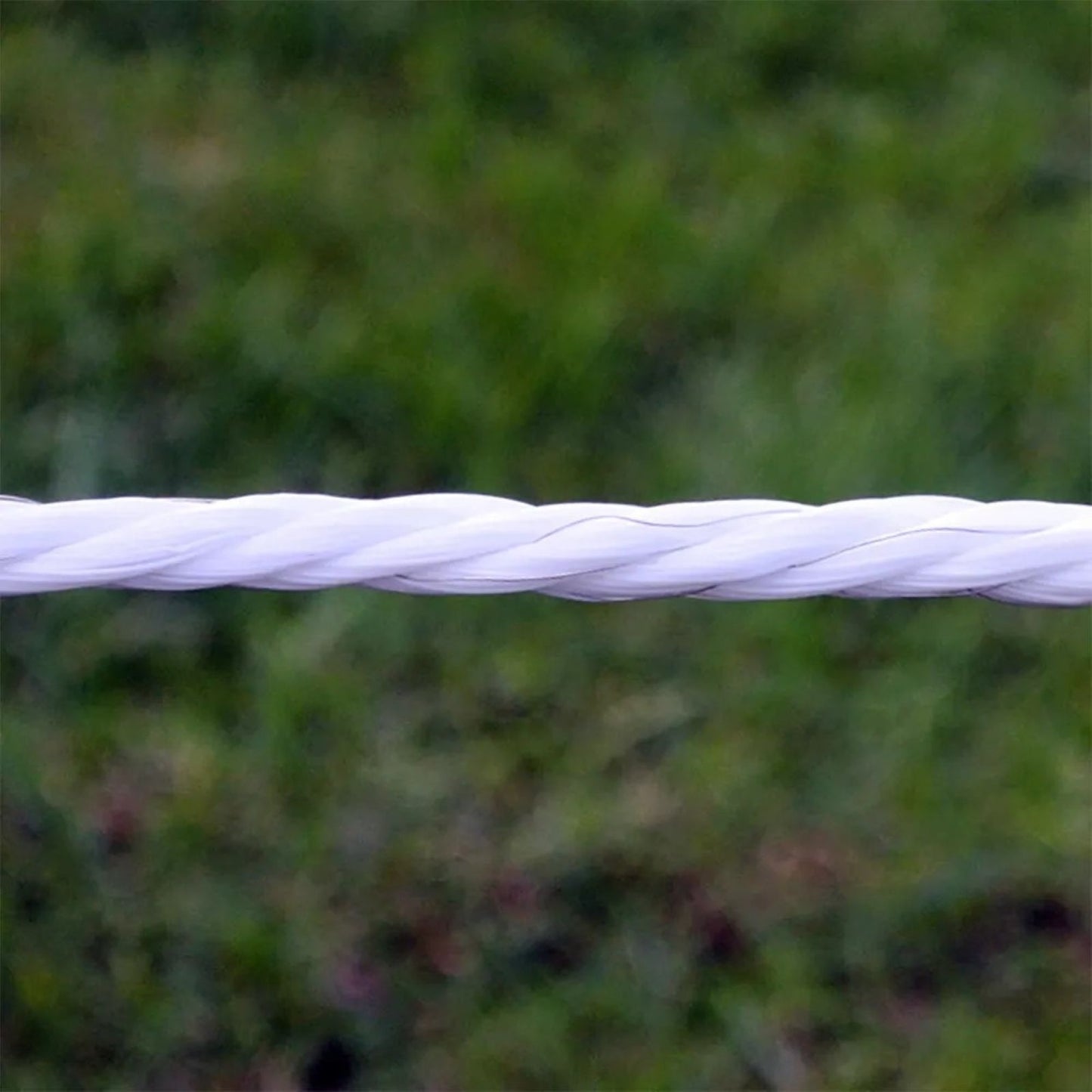 5-647995-01.jpg