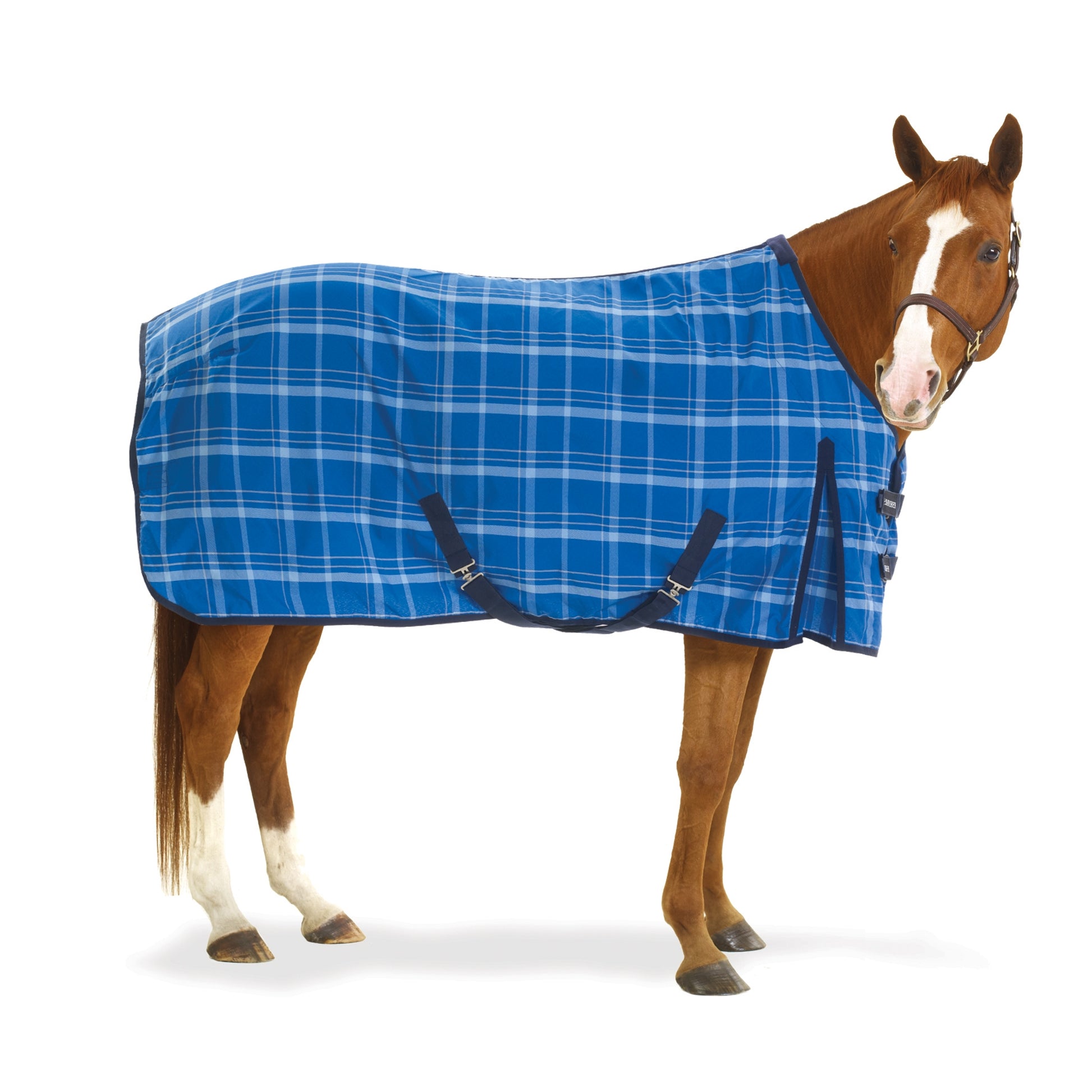 5-692038-blueplaid.jpg