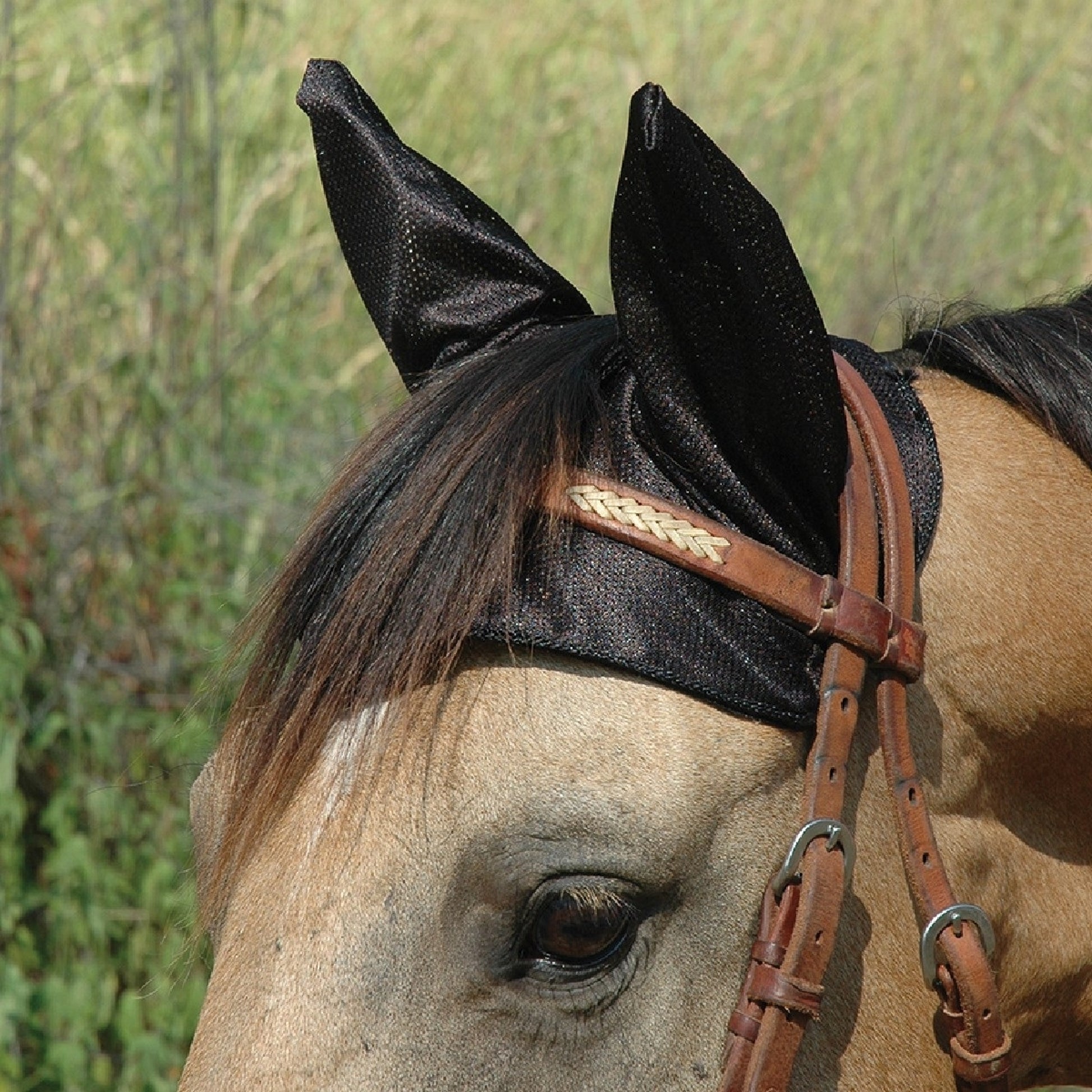 Cashel Comfort Ears