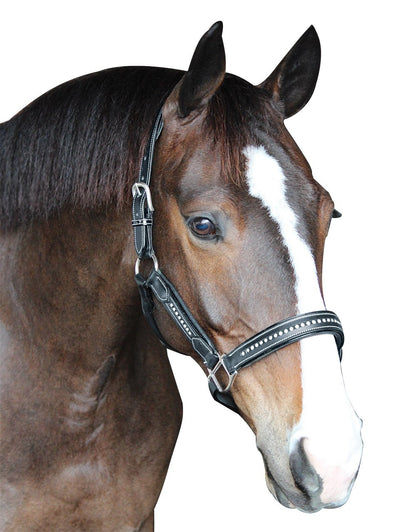 Henry de Rivel Padded Crystal Halter