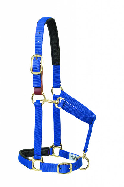 5-841205-blue.jpg