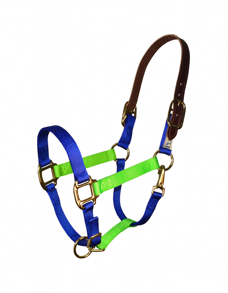 Perri's Color Vision Halter
