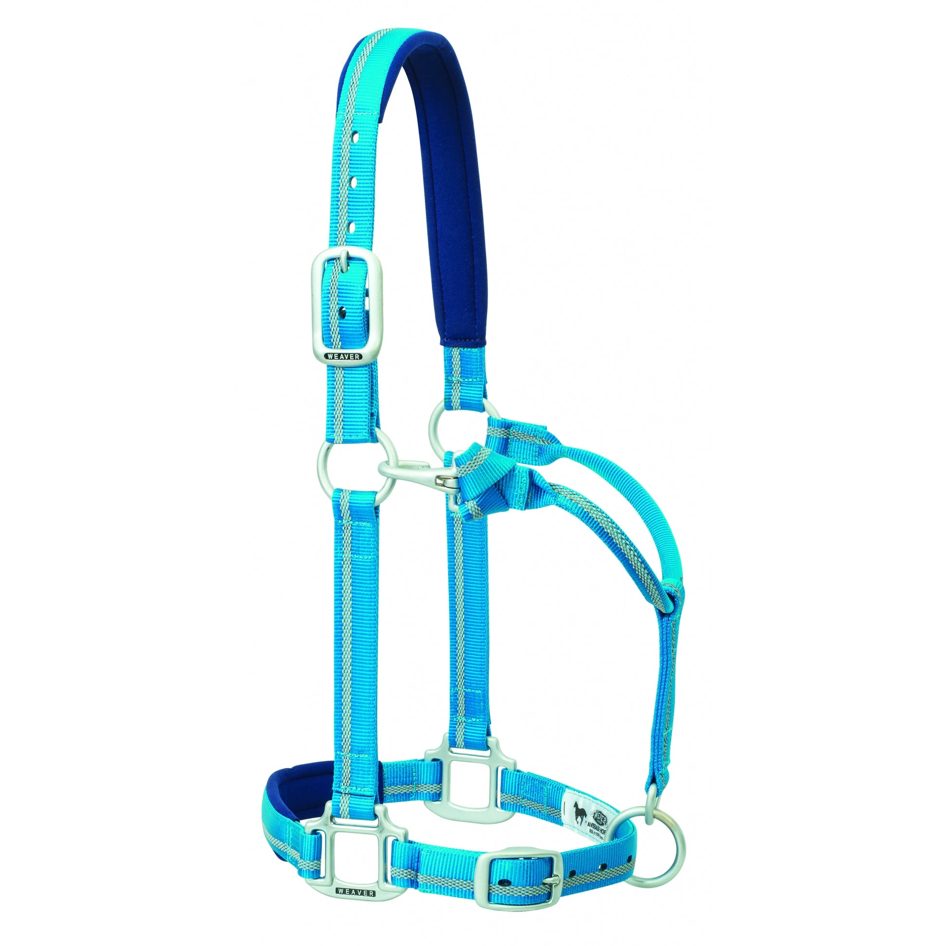 5-876294-blue.jpg