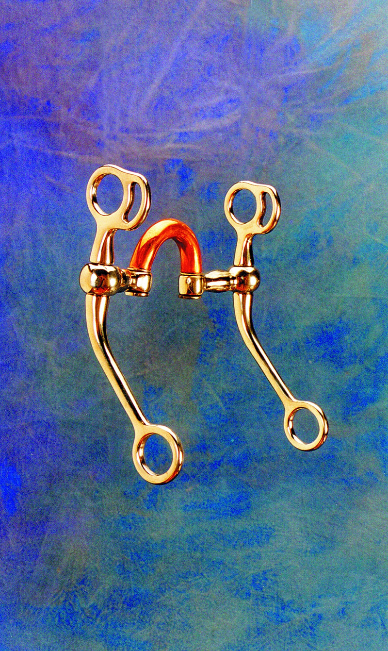 Colorado Saddlery SS Correction Bit