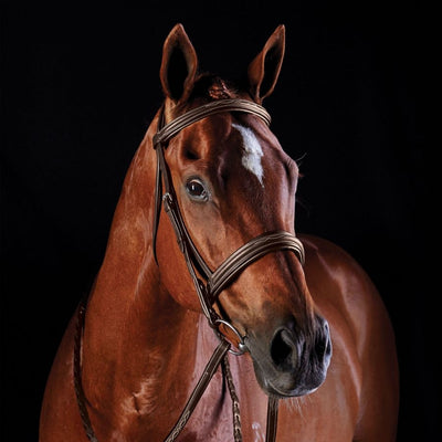 5-939845-brown.jpg