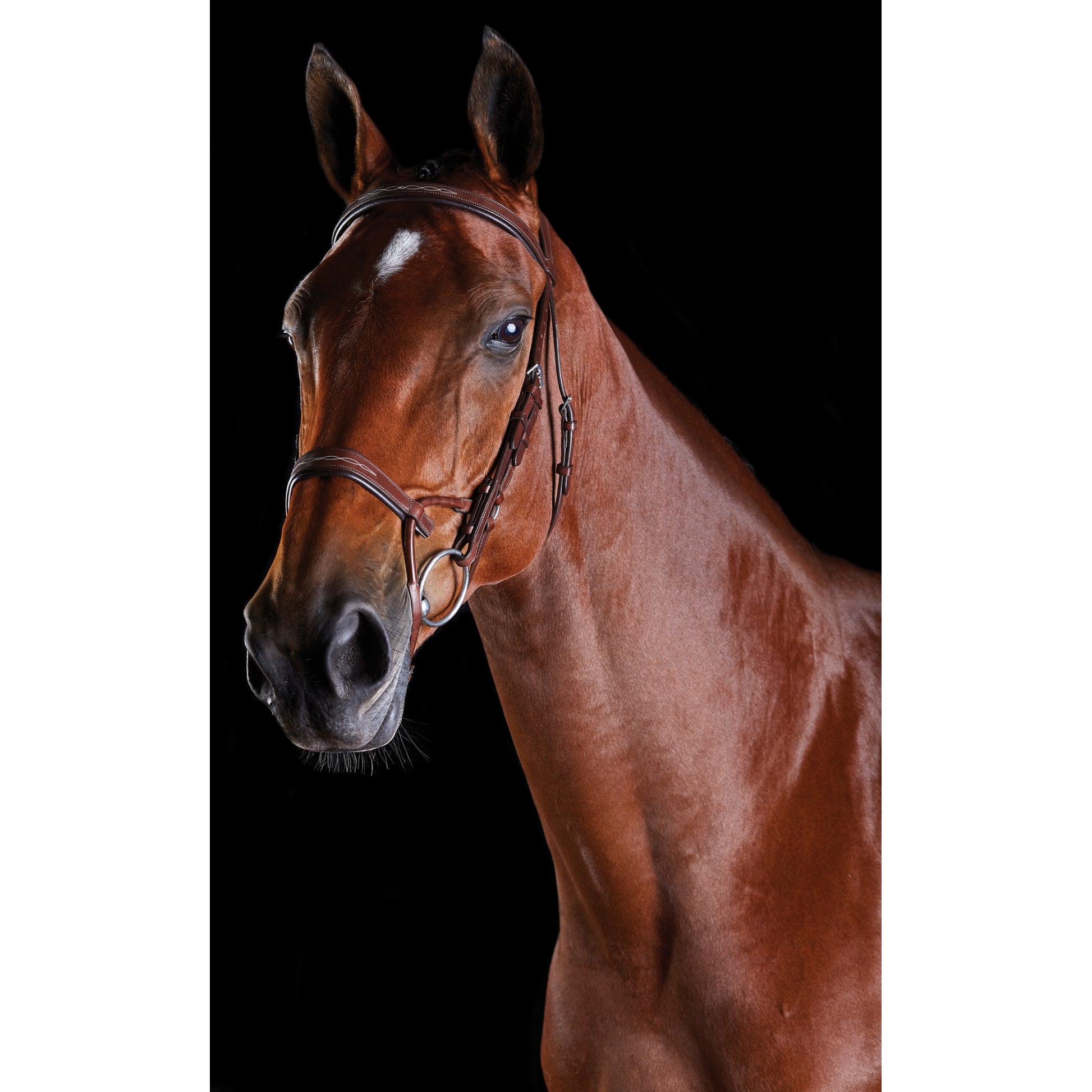 5-939991-brown.jpg