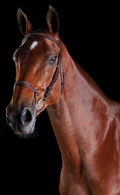 5-939991-brown.jpg