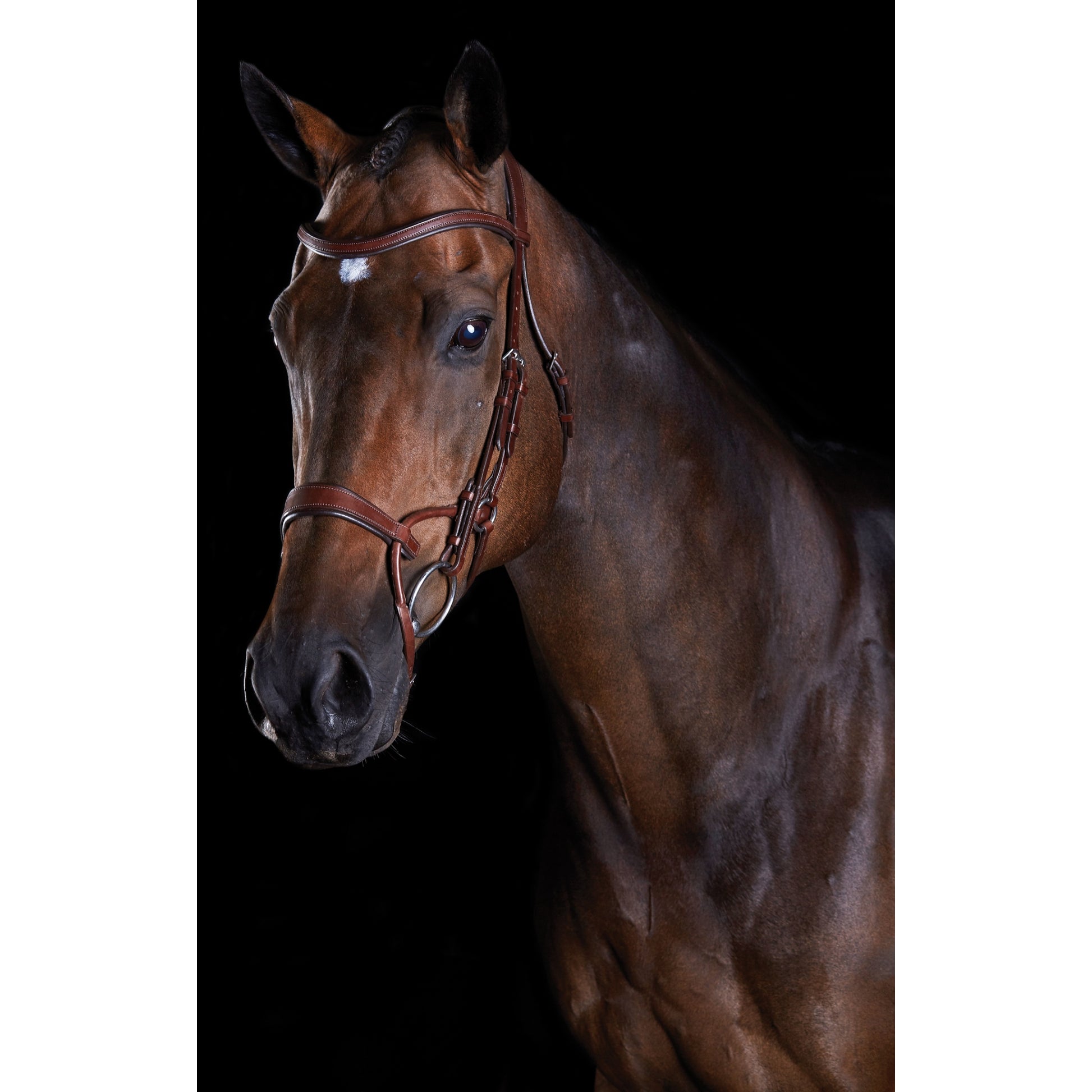 5-939995-brown.jpg