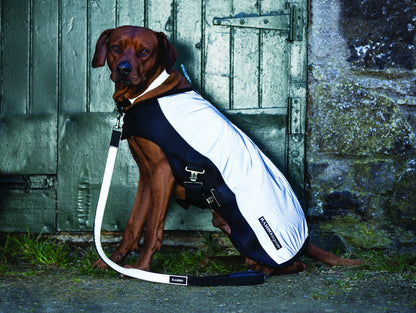Rambo Dog Leash Large Witney/Gold